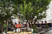 winnicaturnau_festiwalwinapomorzazachodniego_szczecin_08_2025.jpg